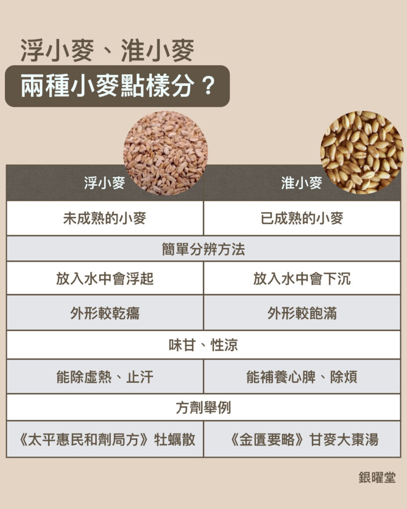 浮小麥、淮小麥有甚麼不同？比較小麥家族的分別。